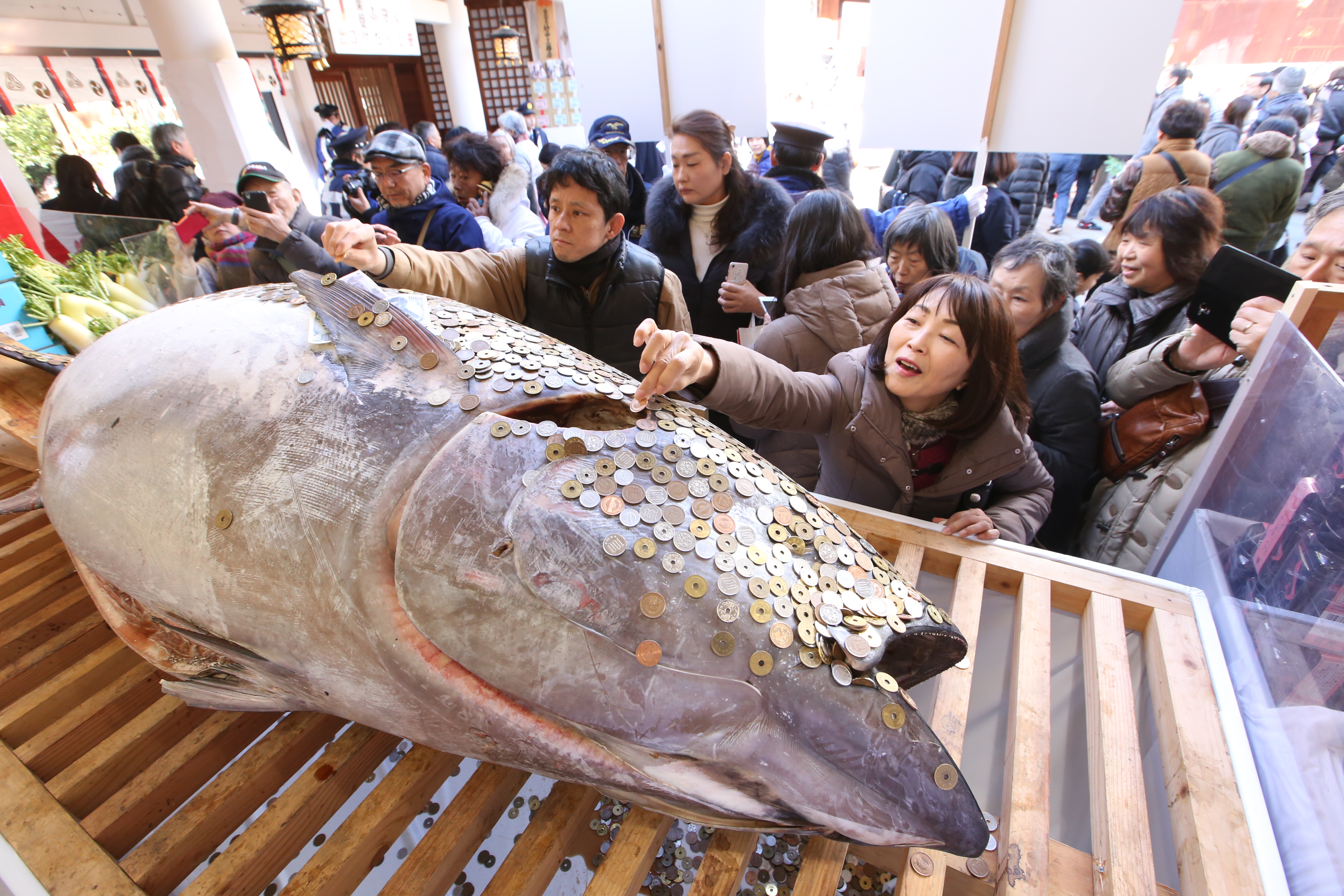 招福大まぐろ奉納